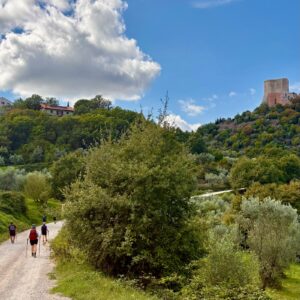 Lessons for facilitators and team leaders