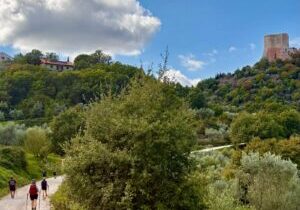 Lessons for facilitators and team leaders