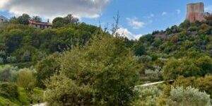 Lessons for facilitators and team leaders