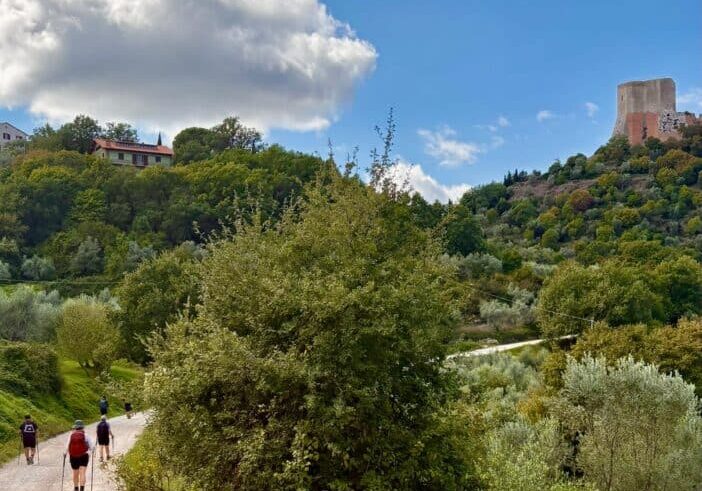 Lessons for facilitators and team leaders