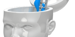 How to engage your audience How to engage your audience