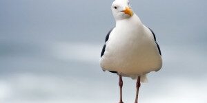 Are people really interested in you? Effective promotion